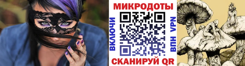 Псилоцибиновые грибы Cubensis  Спасск-Дальний 