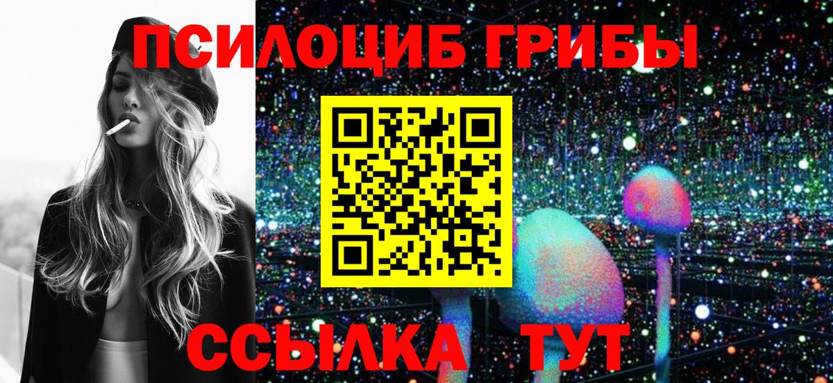 Галлюциногенные грибы Psilocybe Спасск-Дальний