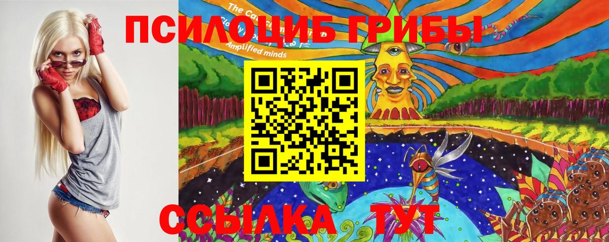 Спасск-Дальний  Галлюциногенные грибы мухоморы  наркошоп  Галлюциногенные грибы прущие грибы  Вход с VPN 
